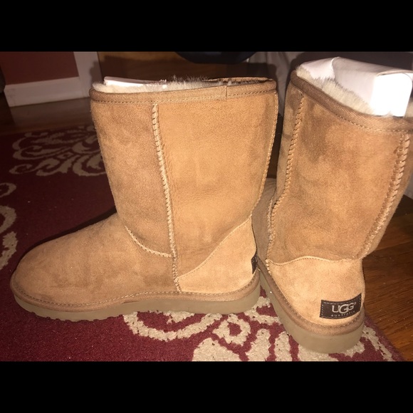 UGG Shoes - Chestnut classic short ugg boots